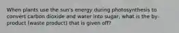 When plants use the sun's energy during photosynthesis to convert carbon dioxide and water into sugar, what is the by-product (waste product) that is given off?