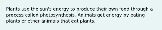 Plants use the sun's energy to produce their own food through a process called photosynthesis. Animals get energy by eating plants or other animals that eat plants.