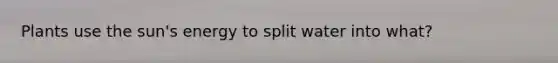 Plants use the sun's energy to split water into what?