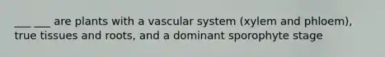 ___ ___ are plants with a vascular system (xylem and phloem), true tissues and roots, and a dominant sporophyte stage