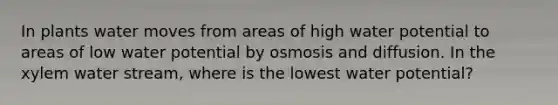 In plants water moves from areas of high water potential to areas of low water potential by osmosis and diffusion. In the xylem water stream, where is the lowest water potential?