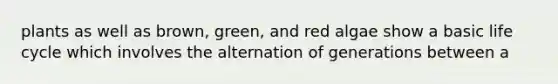 plants as well as brown, green, and red algae show a basic life cycle which involves the alternation of generations between a
