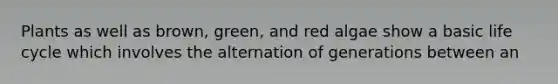 Plants as well as brown, green, and red algae show a basic life cycle which involves the alternation of generations between an