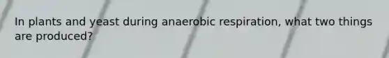 In plants and yeast during anaerobic respiration, what two things are produced?