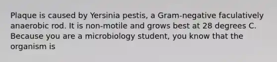 Plaque is caused by Yersinia pestis, a Gram-negative faculatively anaerobic rod. It is non-motile and grows best at 28 degrees C. Because you are a microbiology student, you know that the organism is