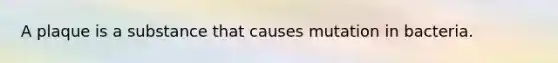 A plaque is a substance that causes mutation in bacteria.