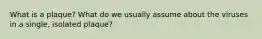 What is a plaque? What do we usually assume about the viruses in a single, isolated plaque?