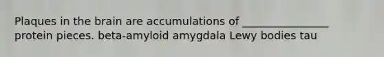 Plaques in the brain are accumulations of ________________ protein pieces. beta-amyloid amygdala Lewy bodies tau