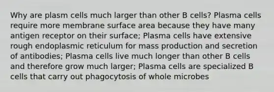 Why are plasm cells much larger than other B cells? Plasma cells require more membrane surface area because they have many antigen receptor on their surface; Plasma cells have extensive rough endoplasmic reticulum for mass production and secretion of antibodies; Plasma cells live much longer than other B cells and therefore grow much larger; Plasma cells are specialized B cells that carry out phagocytosis of whole microbes