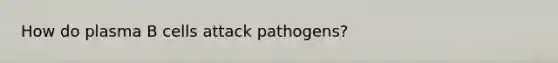 How do plasma B cells attack pathogens?