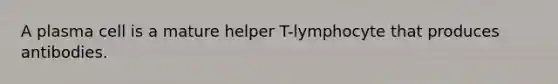 A plasma cell is a mature helper T-lymphocyte that produces antibodies.