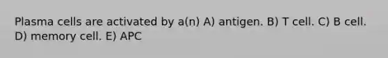 Plasma cells are activated by a(n) A) antigen. B) T cell. C) B cell. D) memory cell. E) APC