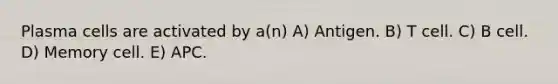 Plasma cells are activated by a(n) A) Antigen. B) T cell. C) B cell. D) Memory cell. E) APC.