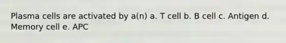 Plasma cells are activated by a(n) a. T cell b. B cell c. Antigen d. Memory cell e. APC