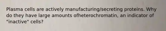 Plasma cells are actively manufacturing/secreting proteins. Why do they have large amounts ofheterochromatin, an indicator of "inactive" cells?