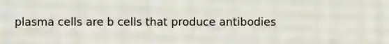 plasma cells are b cells that produce antibodies