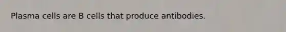Plasma cells are B cells that produce antibodies.