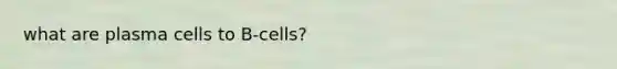 what are plasma cells to B-cells?