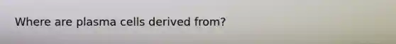 Where are plasma cells derived from?