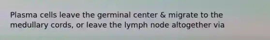 Plasma cells leave the germinal center & migrate to the medullary cords, or leave the lymph node altogether via