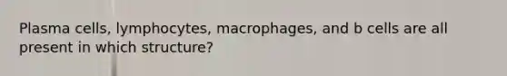 Plasma cells, lymphocytes, macrophages, and b cells are all present in which structure?