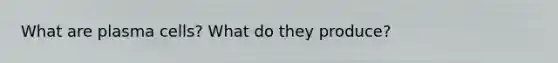 What are plasma cells? What do they produce?
