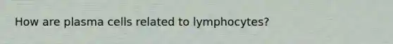 How are plasma cells related to lymphocytes?