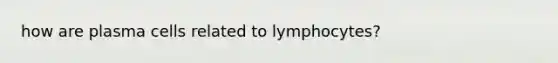 how are plasma cells related to lymphocytes?