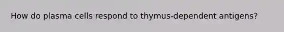 How do plasma cells respond to thymus-dependent antigens?