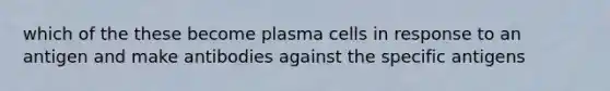 which of the these become plasma cells in response to an antigen and make antibodies against the specific antigens