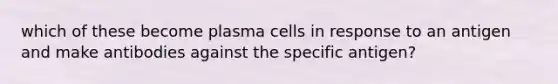 which of these become plasma cells in response to an antigen and make antibodies against the specific antigen?