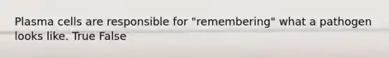 Plasma cells are responsible for "remembering" what a pathogen looks like. True False