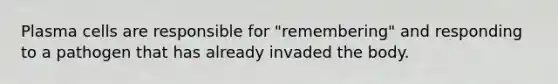 Plasma cells are responsible for "remembering" and responding to a pathogen that has already invaded the body.