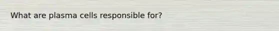 What are plasma cells responsible for?