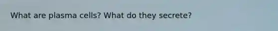 What are plasma cells? What do they secrete?
