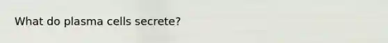 What do plasma cells secrete?