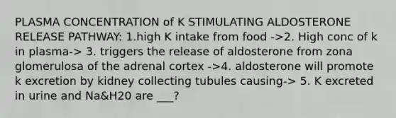 PLASMA CONCENTRATION of K STIMULATING ALDOSTERONE RELEASE PATHWAY: 1.high K intake from food ->2. High conc of k in plasma-> 3. triggers the release of aldosterone from zona glomerulosa of the adrenal cortex ->4. aldosterone will promote k excretion by kidney collecting tubules causing-> 5. K excreted in urine and Na&H20 are ___?