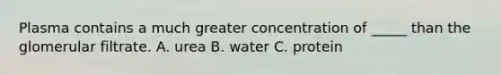 Plasma contains a much greater concentration of _____ than the glomerular filtrate. A. urea B. water C. protein