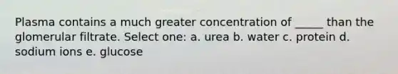 Plasma contains a much greater concentration of _____ than the glomerular filtrate. Select one: a. urea b. water c. protein d. sodium ions e. glucose