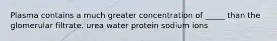 Plasma contains a much greater concentration of _____ than the glomerular filtrate. urea water protein sodium ions