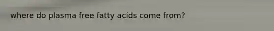 where do plasma free fatty acids come from?