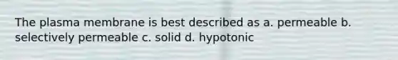 The plasma membrane is best described as a. permeable b. selectively permeable c. solid d. hypotonic