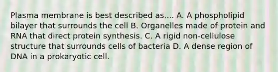 Plasma membrane is best described as.... A. A phospholipid bilayer that surrounds the cell B. Organelles made of protein and RNA that direct protein synthesis. C. A rigid non-cellulose structure that surrounds cells of bacteria D. A dense region of DNA in a prokaryotic cell.