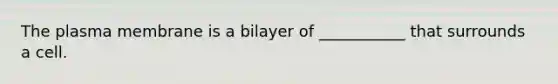 The plasma membrane is a bilayer of ___________ that surrounds a cell.