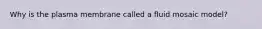 Why is the plasma membrane called a fluid mosaic model?