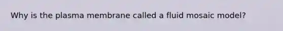 Why is the plasma membrane called a fluid mosaic model?