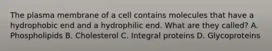 The plasma membrane of a cell contains molecules that have a hydrophobic end and a hydrophilic end. What are they called? A. Phospholipids B. Cholesterol C. Integral proteins D. Glycoproteins