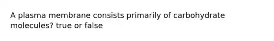 A plasma membrane consists primarily of carbohydrate molecules? true or false