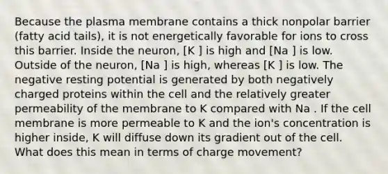 Because the plasma membrane contains a thick nonpolar barrier (fatty acid tails), it is not energetically favorable for ions to cross this barrier. Inside the neuron, [K ] is high and [Na ] is low. Outside of the neuron, [Na ] is high, whereas [K ] is low. The negative resting potential is generated by both negatively charged proteins within the cell and the relatively greater permeability of the membrane to K compared with Na . If the cell membrane is more permeable to K and the ion's concentration is higher inside, K will diffuse down its gradient out of the cell. What does this mean in terms of charge movement?