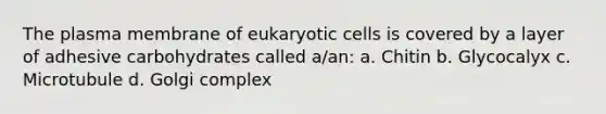 The plasma membrane of eukaryotic cells is covered by a layer of adhesive carbohydrates called a/an:​ a. Chitin​ b. ​Glycocalyx c. ​Microtubule d. ​Golgi complex